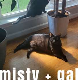 Photo of Gabby and Misty