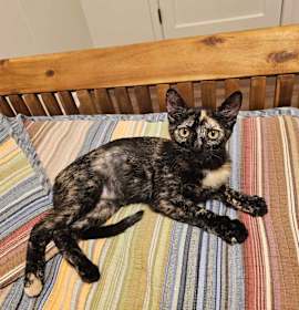 Photo of Kanoe & Lena