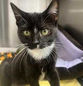 Photo of MARTINI
