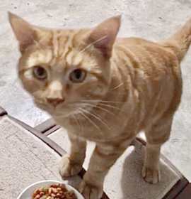 Photo of Sam