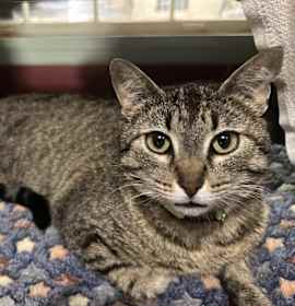 Photo of Little Miss