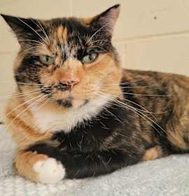 Photo of 4983 McKayla