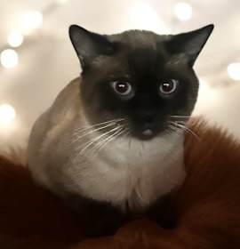 Photo of Tim