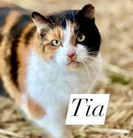 Photo of Tia