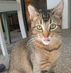 Photo of Abby