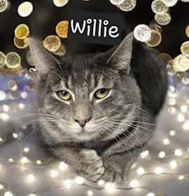 Photo of Willie