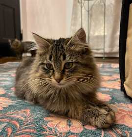 Photo of Jerry