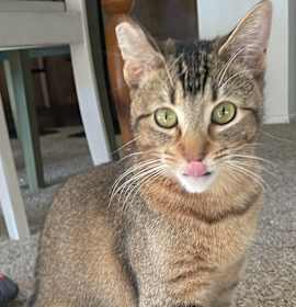 Photo of Abby