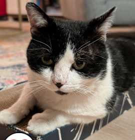 Photo of Frost GlenCove