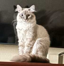 Photo of Miss Abundance