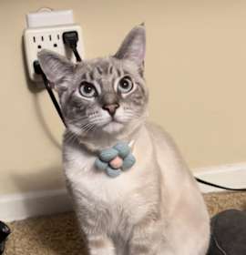 Photo of Miss Love