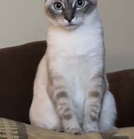 Photo of Miss Peace