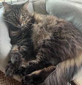 Photo of Mama Tabitha