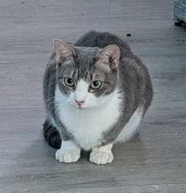 Photo of Kentucky Rain