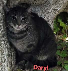Photo of Daryl