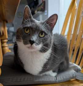 Photo of Bridgette