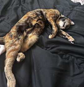 Photo of Zoe
