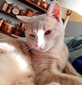 Photo of Rudy