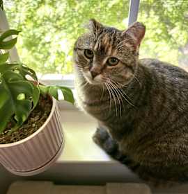 Photo of Agatha