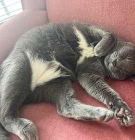 Photo of Oskar