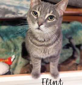 Photo of Flint