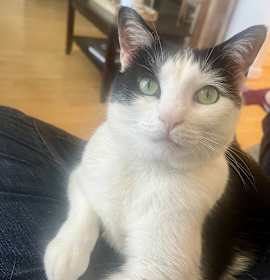Photo of Leah