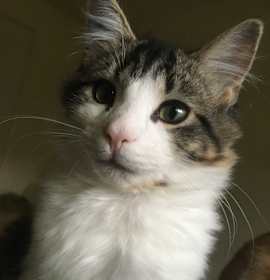 Photo of Hades