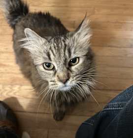 Photo of Bette Boo