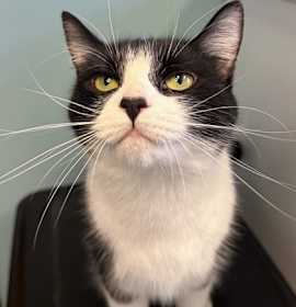 Photo of Storm