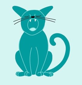 Photo of Tabitha