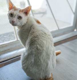 Photo of Allie