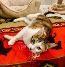 Photo of MAMA Chloe