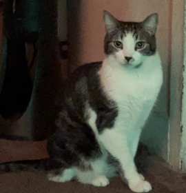 Photo of Gopher