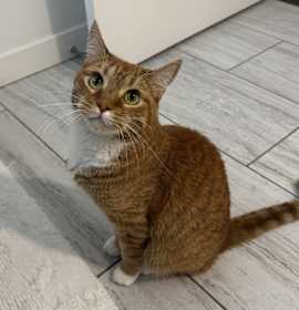 Photo of Oliver