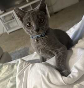 Photo of Oliver