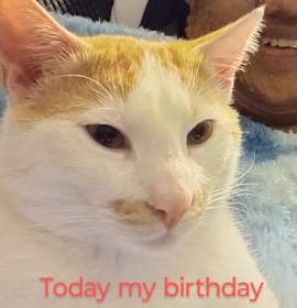Photo of Oliver