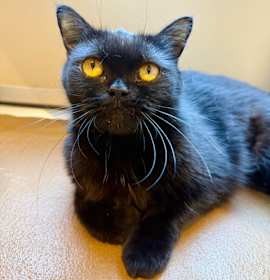 Photo of Princess Taj
