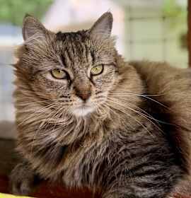 Photo of Bette Boo