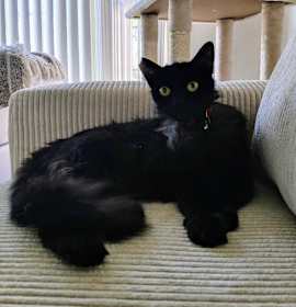 Photo of Moses