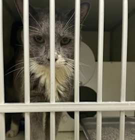 Photo of Levi (Special Needs)