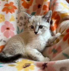 Photo of Spice