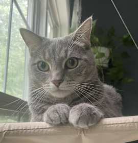 Photo of Zoe