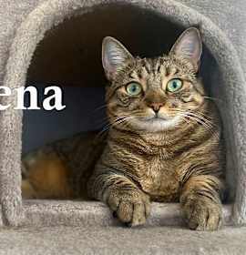 Photo of Serena
