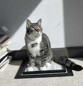 Photo of Zuko