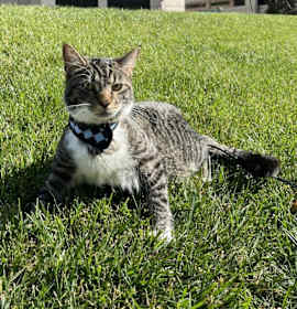 Photo of Zuko