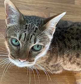 Photo of Baby