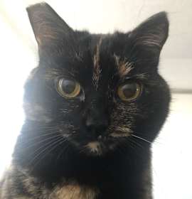 Photo of Tabitha