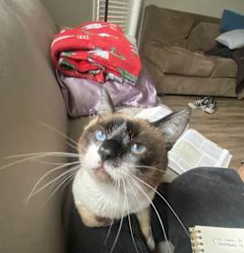 Photo of Master Shifu