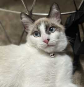 Photo of Georgina