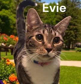 Photo of Evie